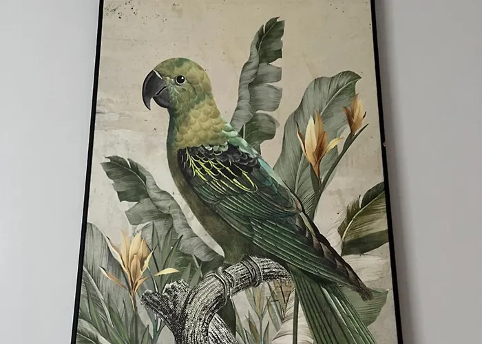 Grunwaldzki24 - Free Parking - Old Town, Centrum